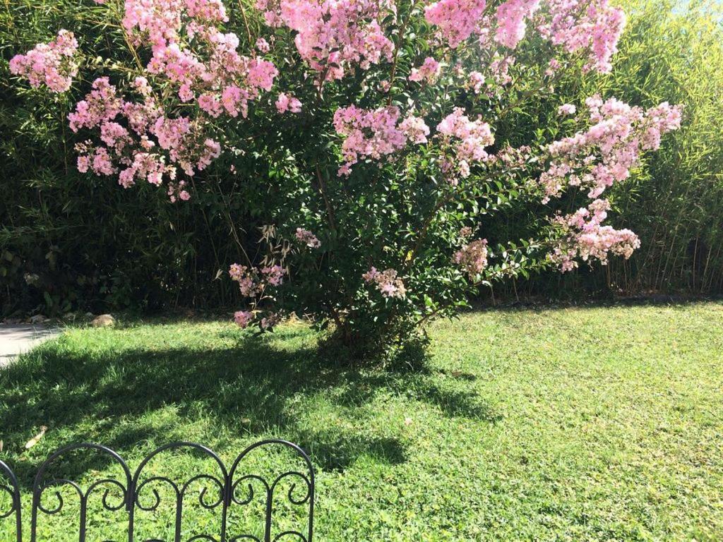 Cottage La Villa Bolero Saint-Cyr-sur-Loire Exteriör bild