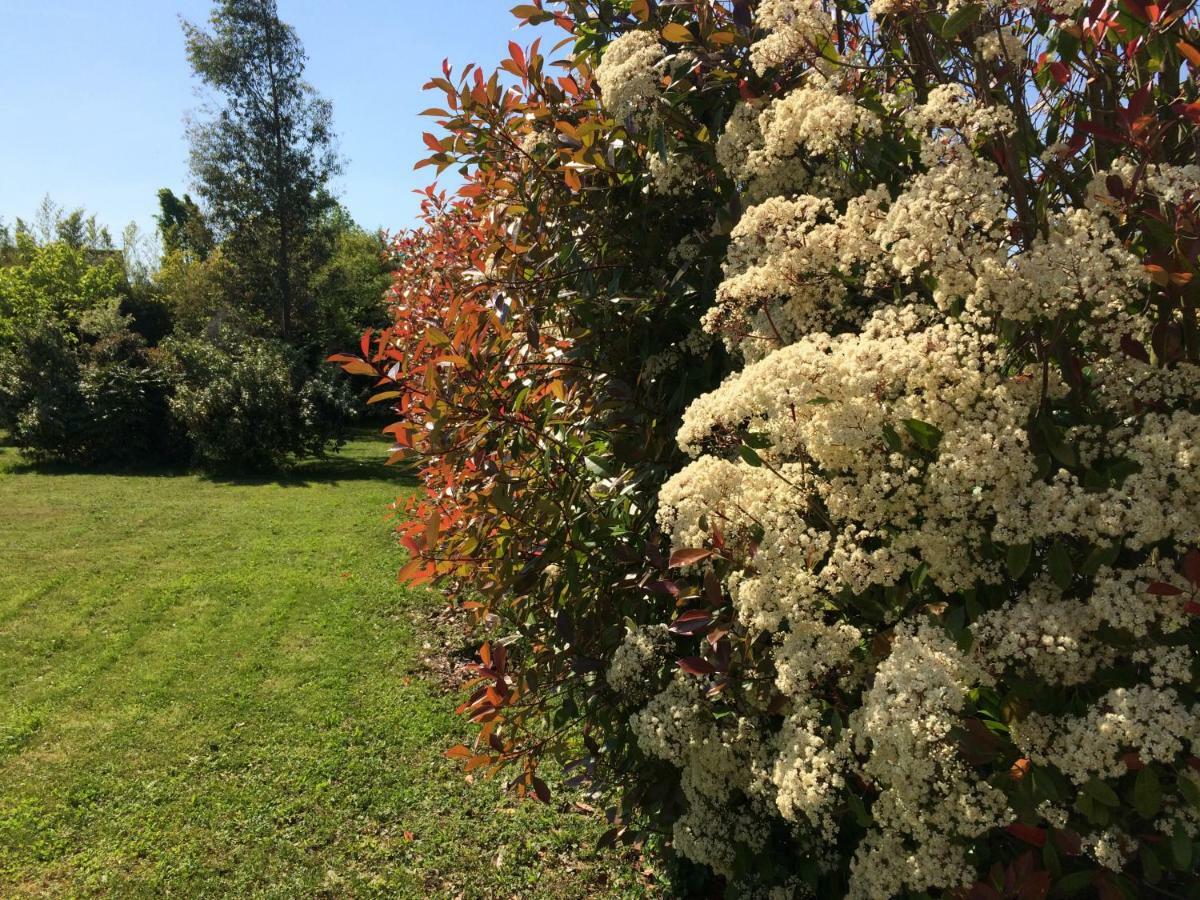 Cottage La Villa Bolero Saint-Cyr-sur-Loire Exteriör bild